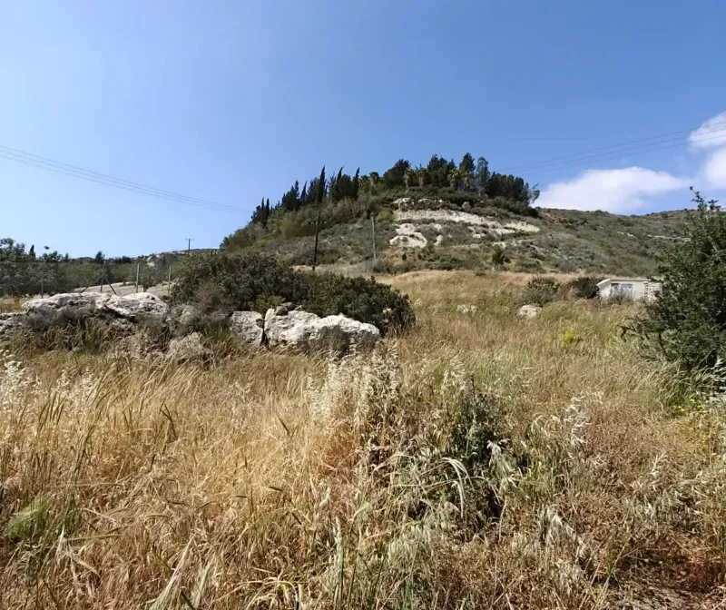 Agricultural Field 5361 m² in Pentakomo