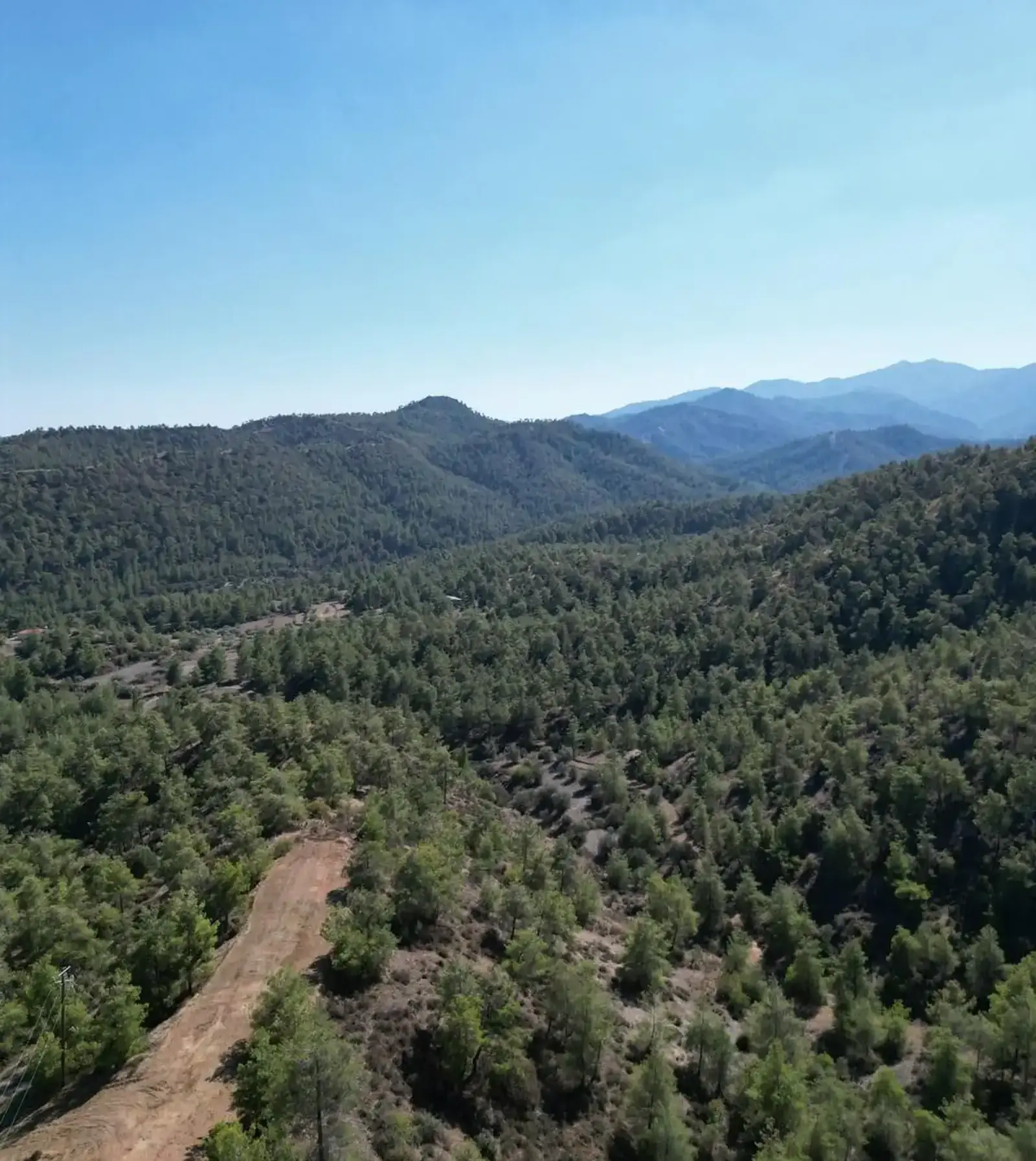 Agricultural Field 11372 m² in Kapedes