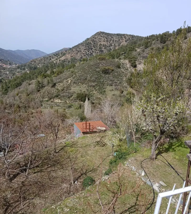 Agricultural Field 1500 m² in Pedoulas