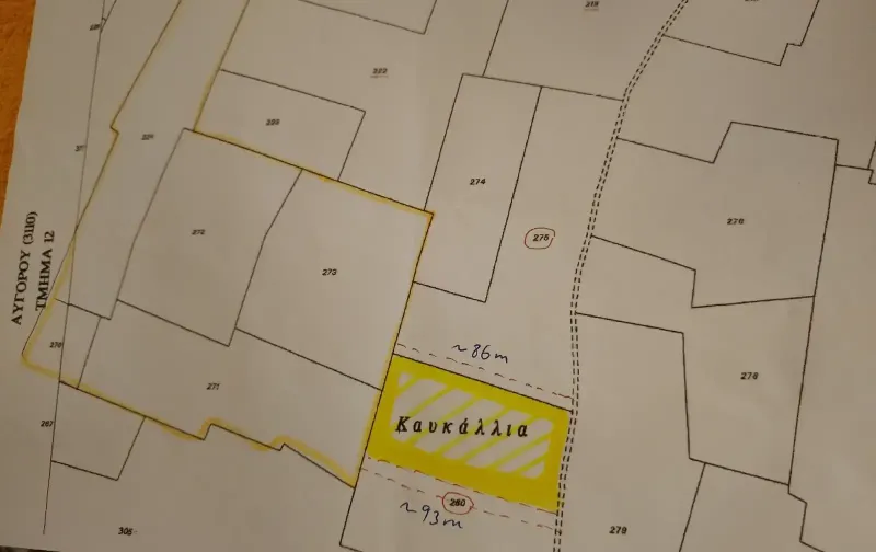 Agricultural Field 31821 m² in Avgorou