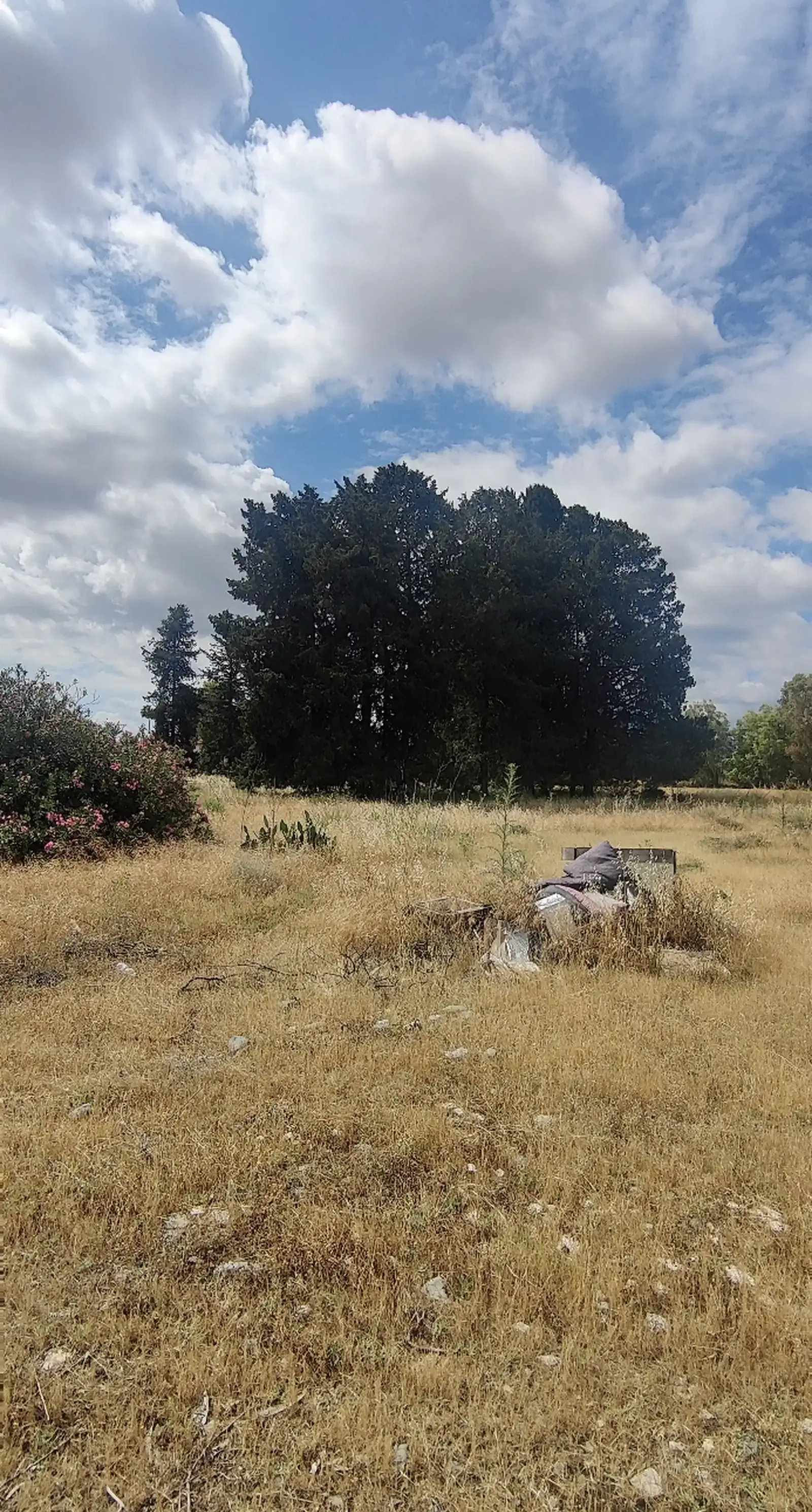 Residential Field 2313 m² in Episkopeio
