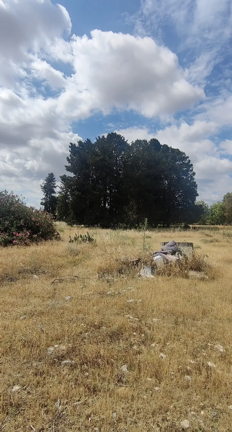 Residential Field 2313 m² in Episkopeio