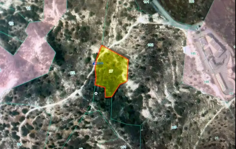 Agricultural Field 4014 m² in Asgata