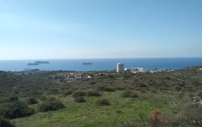 Agricultural Field 4447 m² in Pyrgos Lemesou Tourist Area