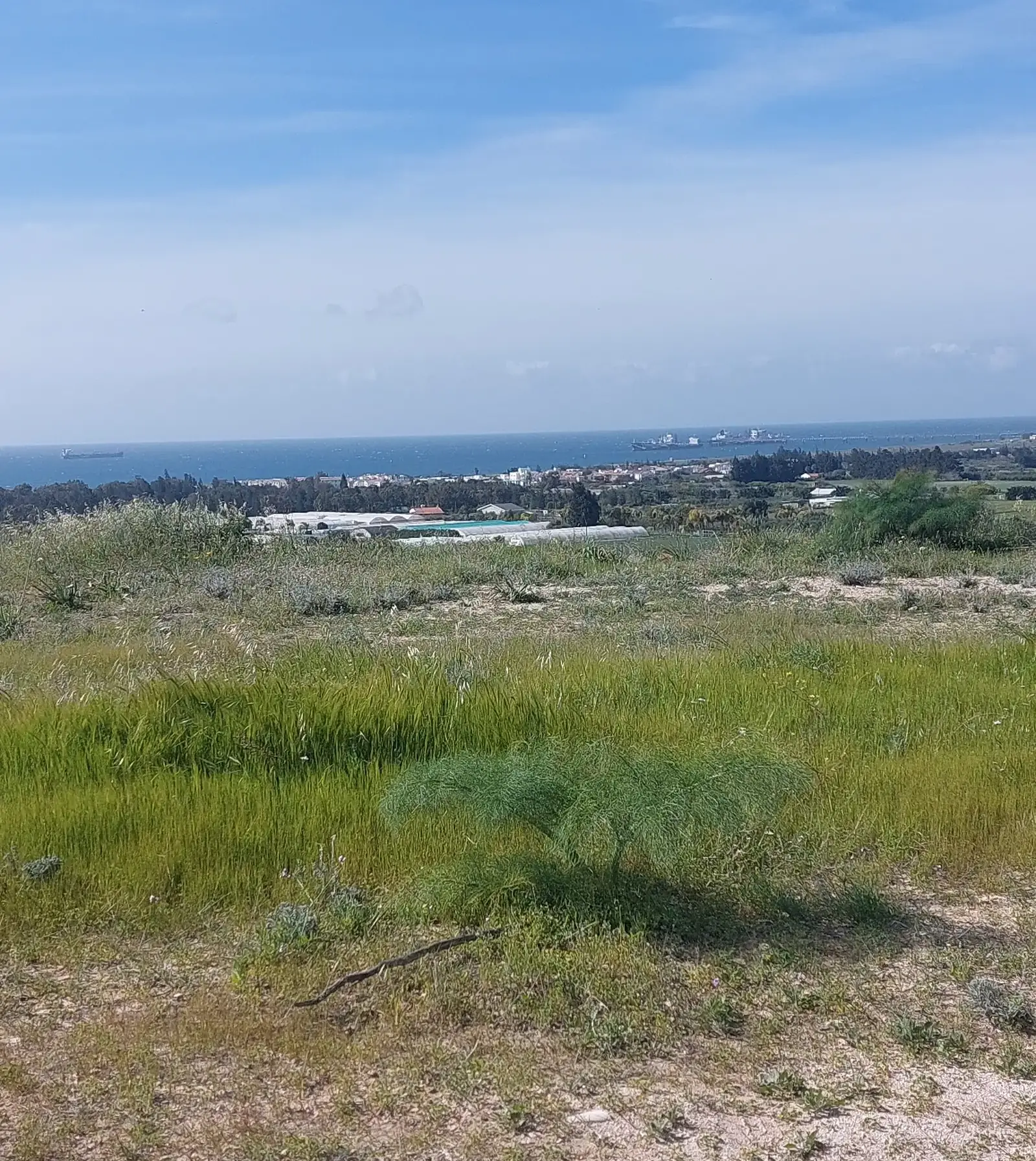 Agricultural Field 5400 m² in Zygi
