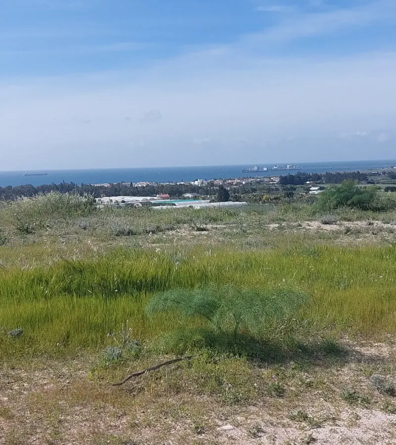 Agricultural Field 5400 m² in Zygi