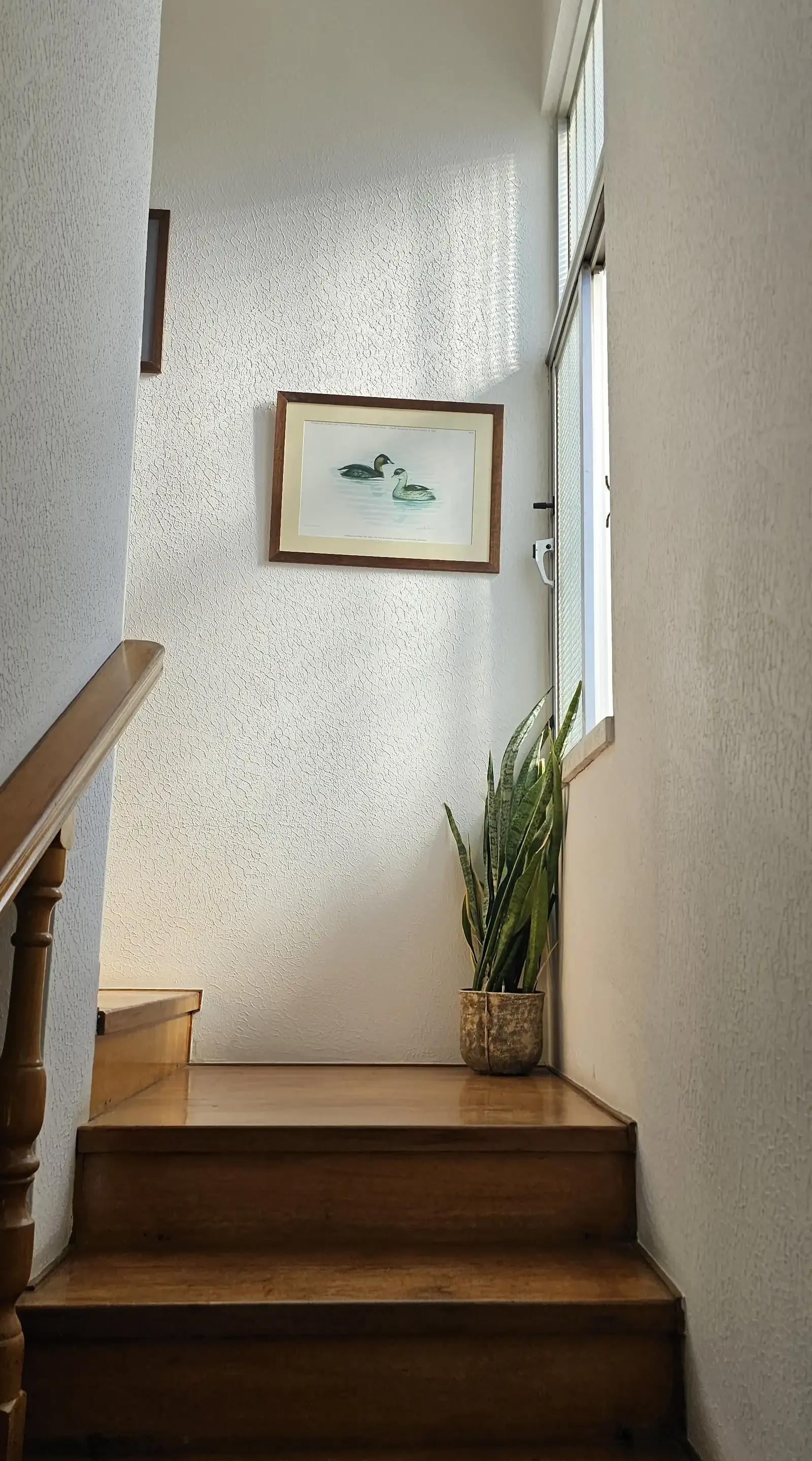 4-bedroom detached house to rent in Agios Ioannis