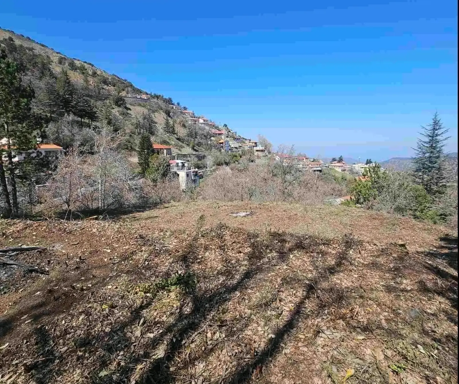 Residential Field 542 m² in Pedoulas