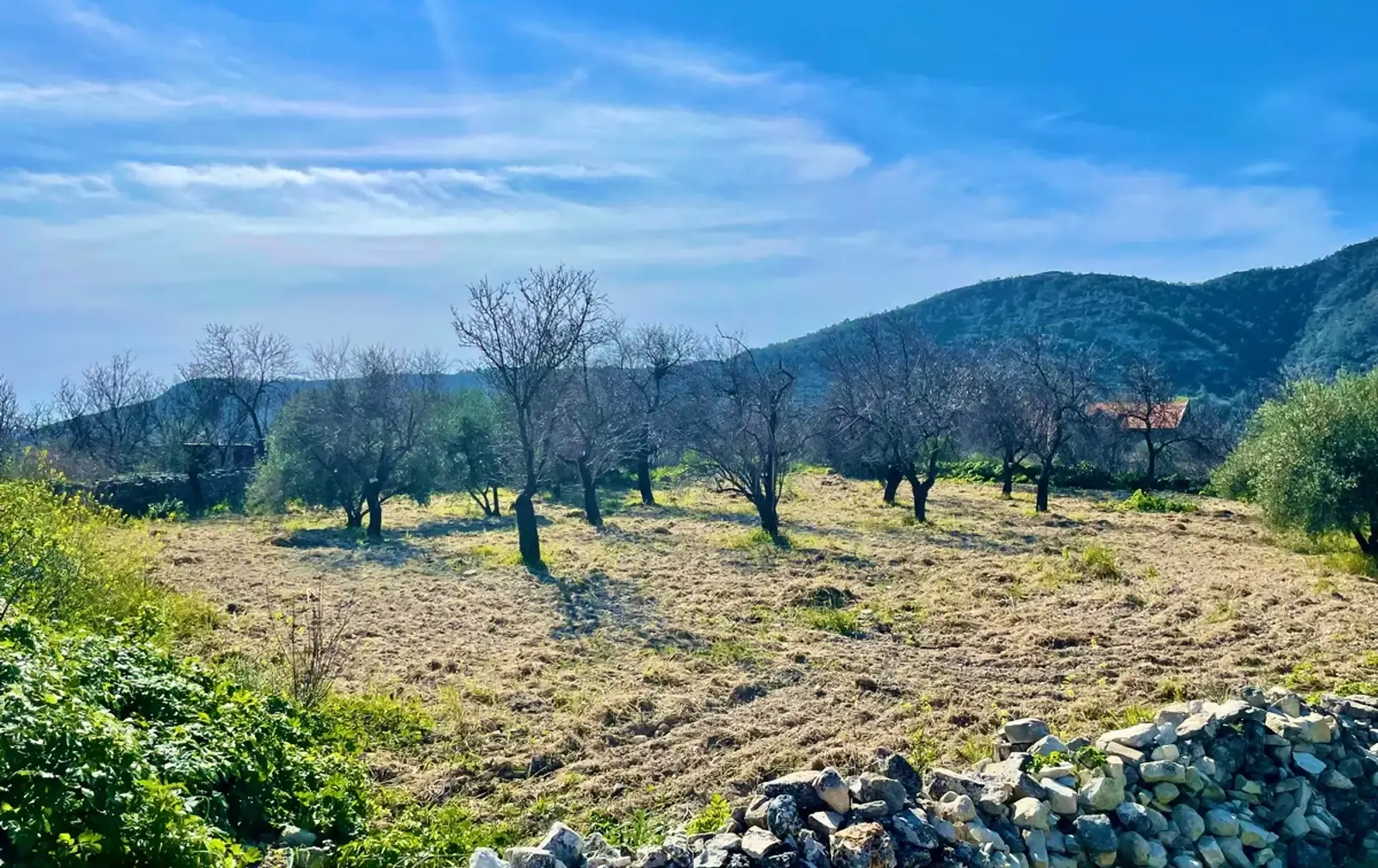 Residential Field 1338 m² in Doros