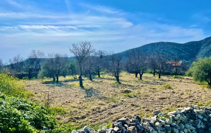 Residential Field 1338 m² in Doros