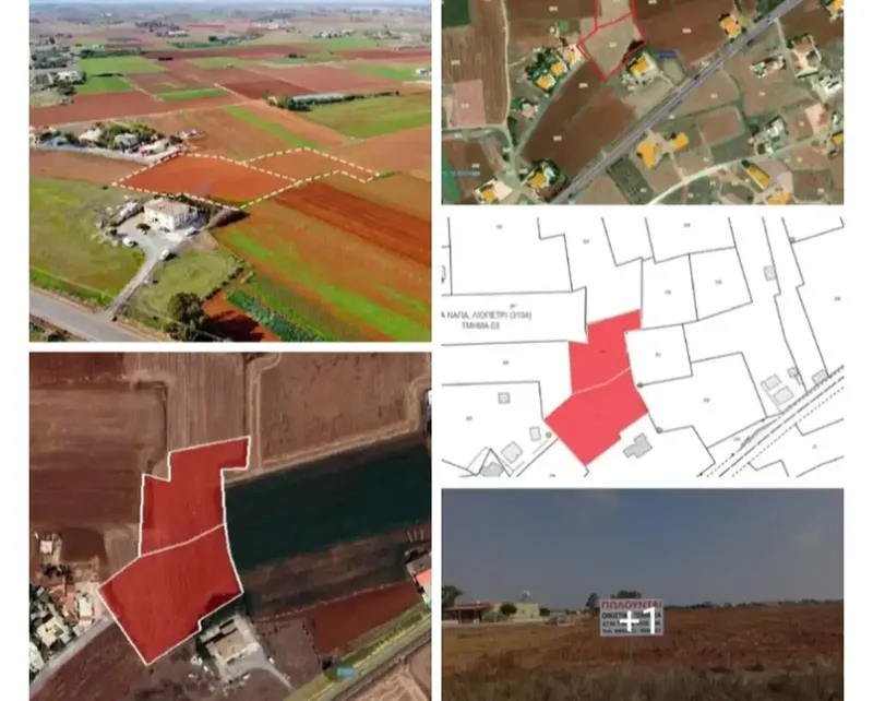 Residential Field 8071 m² in Liopetri