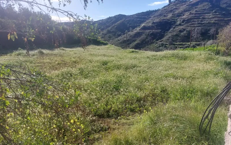 Residential Plot 1097 m² in Melini