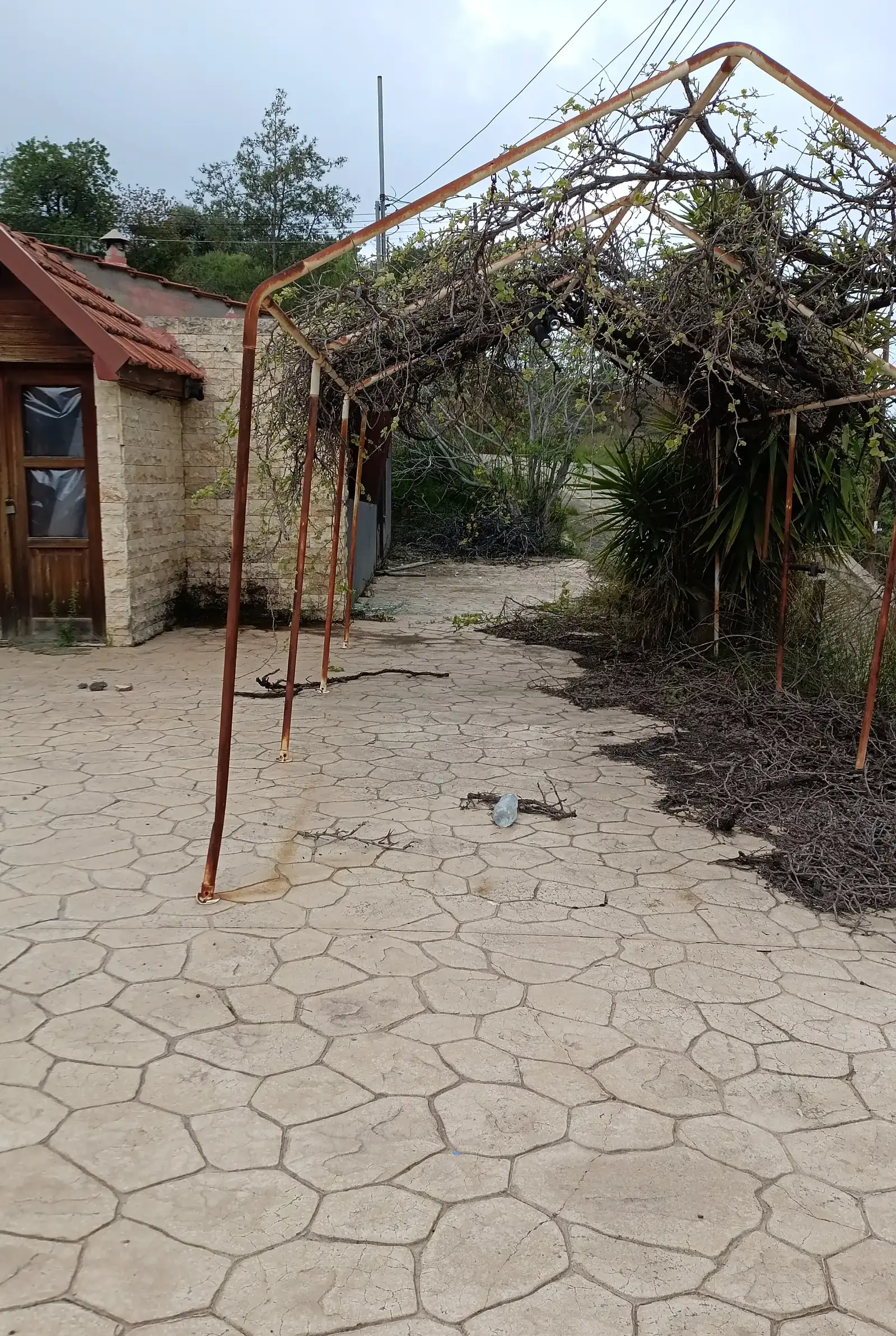 Restaurant / bakery / caffee / venue on e110 - kalo chorio in Kalo Chorio Lemesou