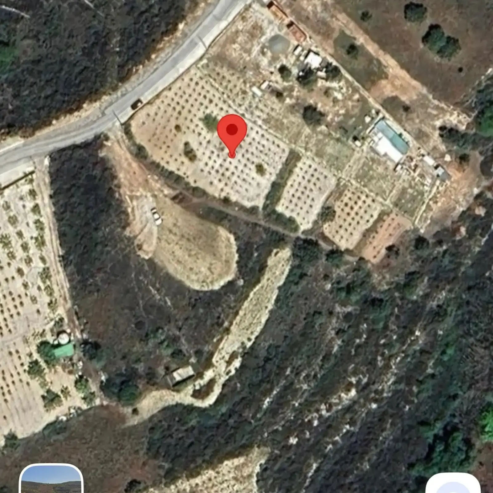 Agricultural Field 2300 m² in Laneia
