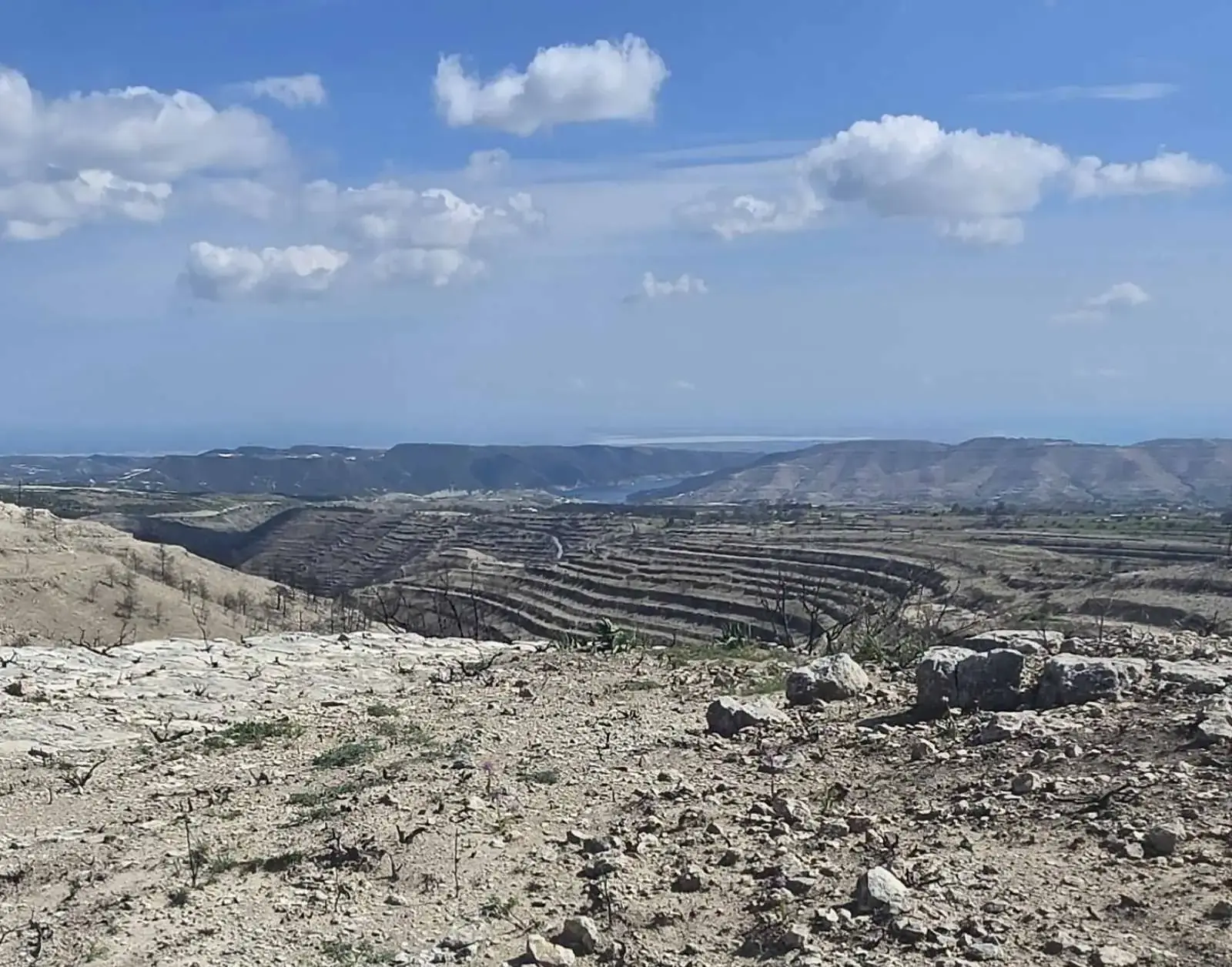 Agricultural Field 10368 m² in Lofou