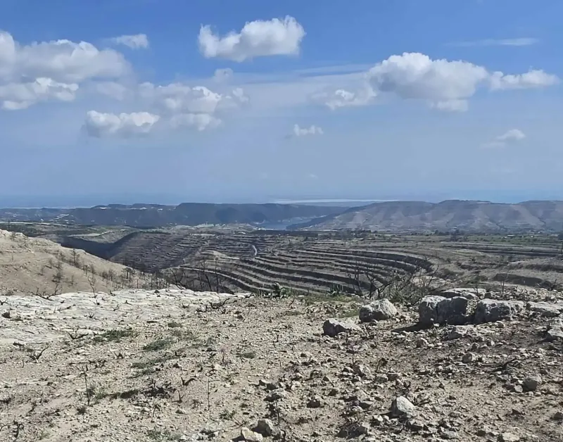Agricultural Field 10368 m² in Lofou