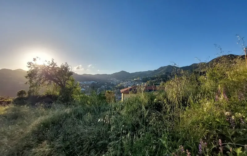 Residential Plot 874 m² in Agros