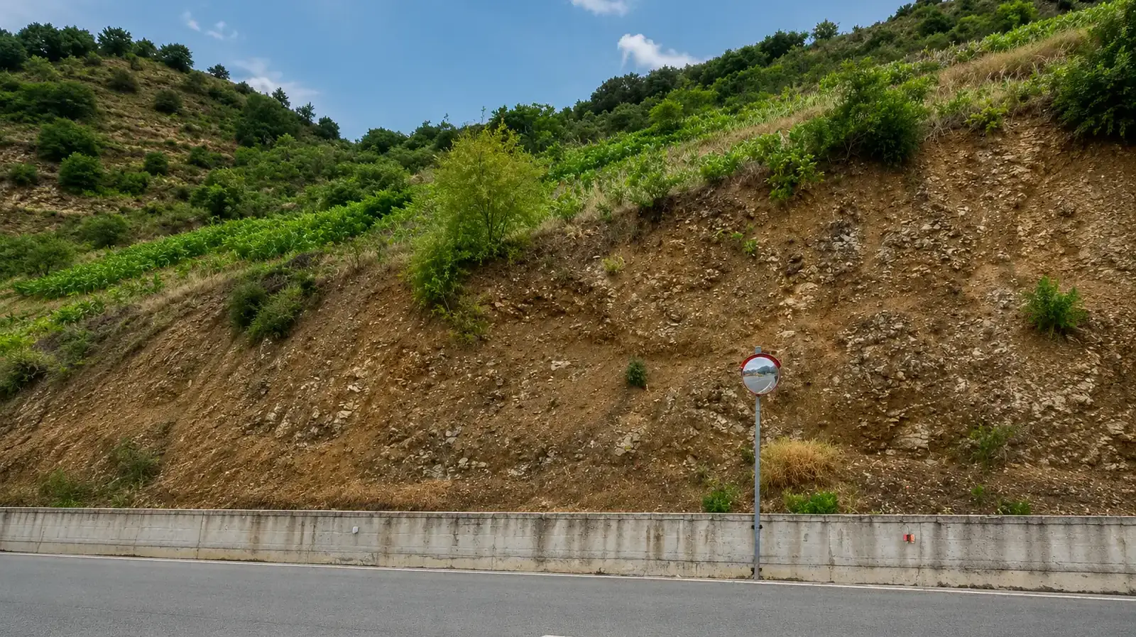 Γεωργικό χωράφι 7,290 m² προς πώληση στην περιοχή Askas