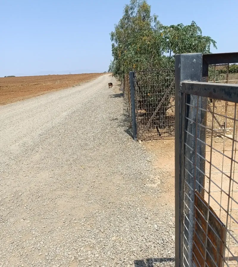 Agricultural Plot 3679 m² in Xylotymvou