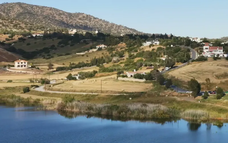 Agricultural Field 2200 m² in Foinikaria