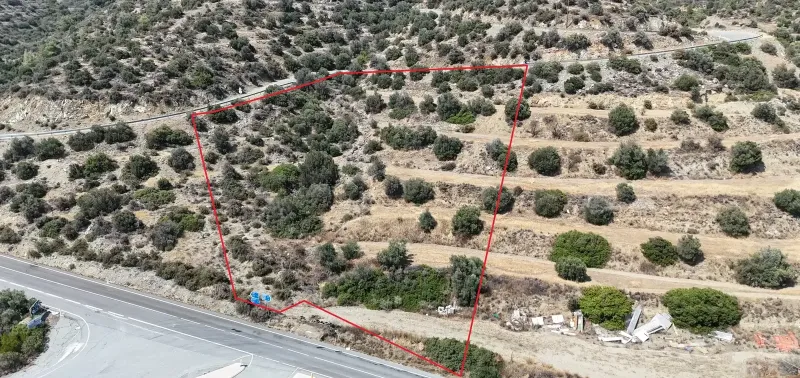 Agricultural Field 6262 m² in Parekklisia