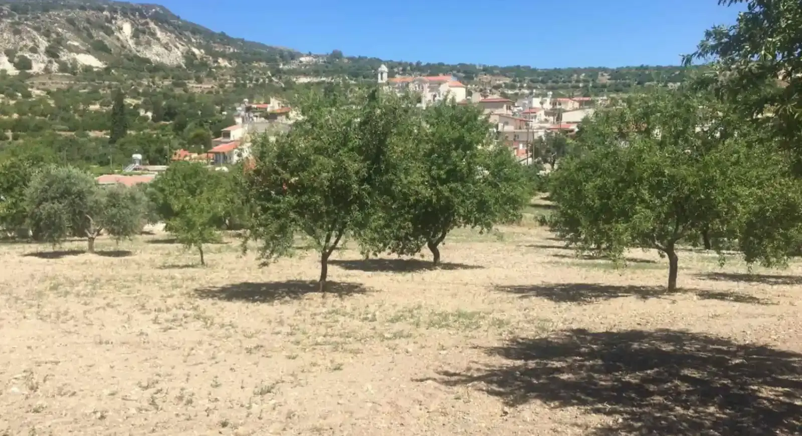 Residential Plot 3669 m² in Limnatis