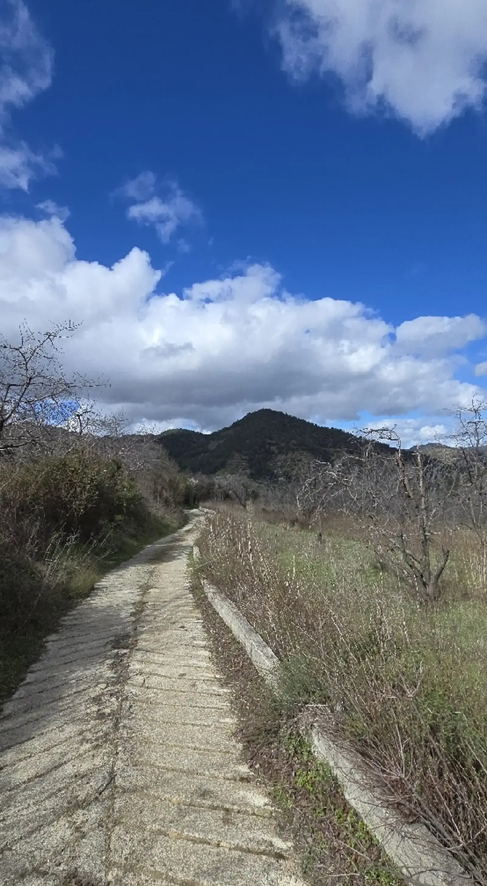 Residential Plot 10034 m² in Tsakistra
