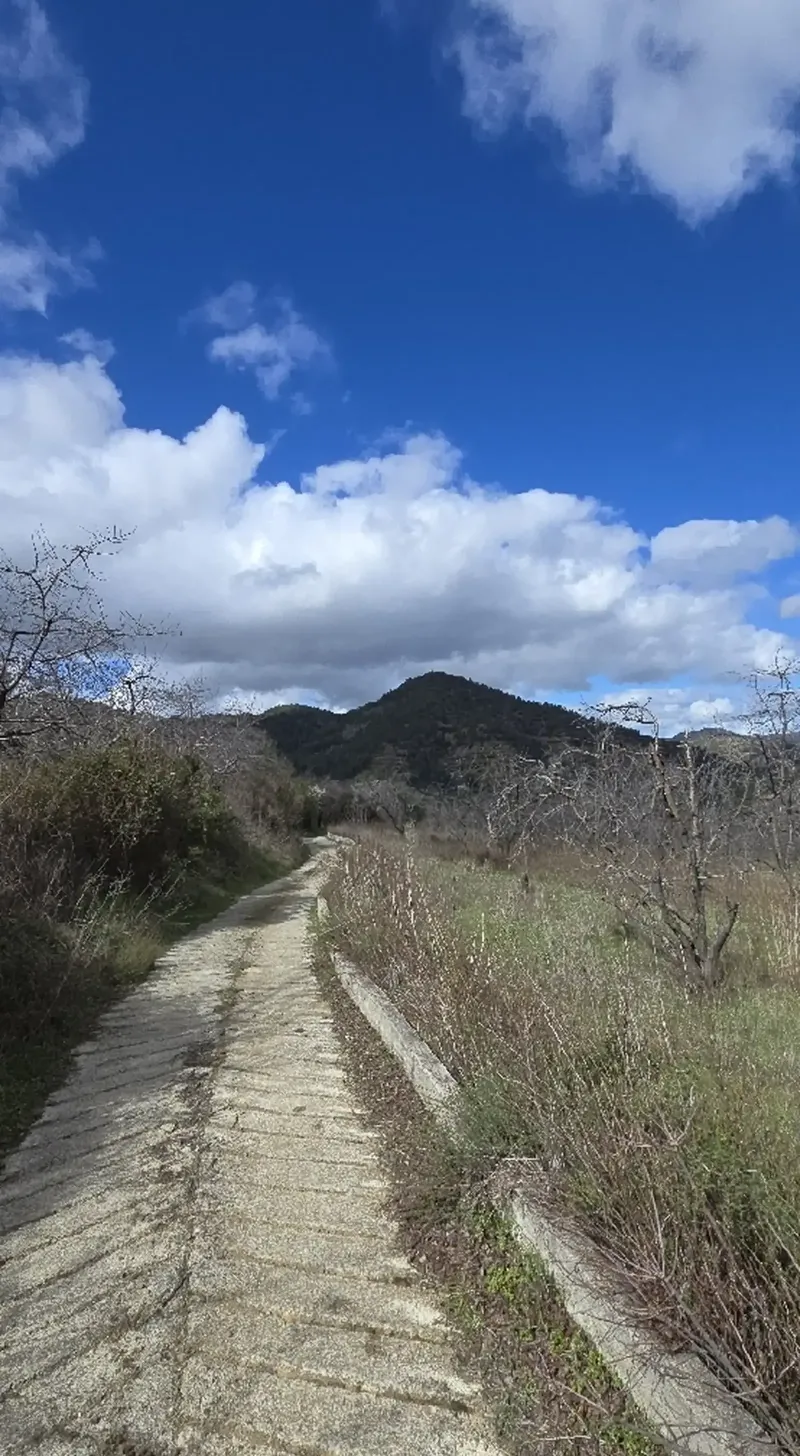 Residential Plot 10034 m² in Tsakistra