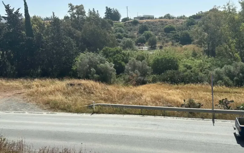 Residential Field 1160 m² in Monagroulli